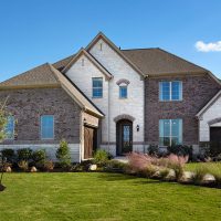 Green grass on the lawn in front of the house