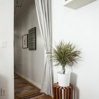 Indoor plant on a wooden stand