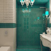 Mosaic shower stall