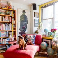 Dog on a pink sofa