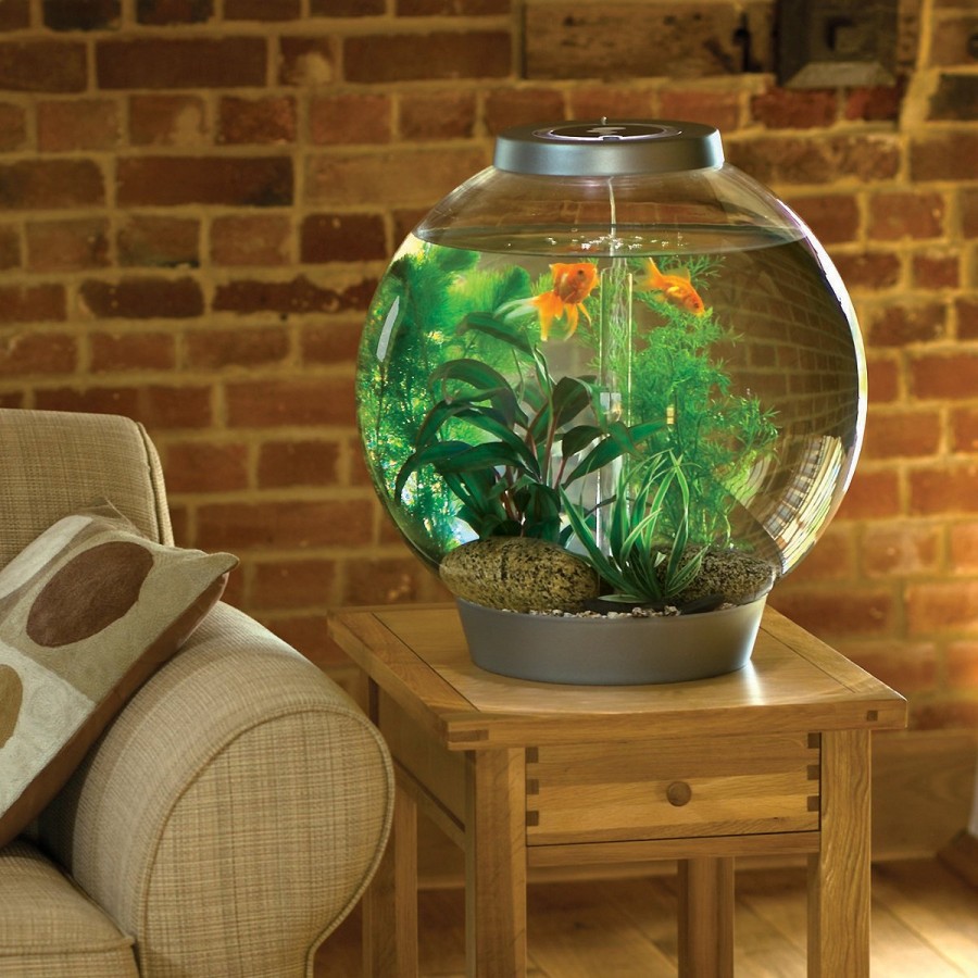 Round aquarium in the living room interior