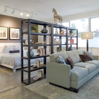 Zoning the room with a sofa and shelving