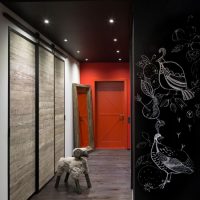 Hallway design with black ceiling