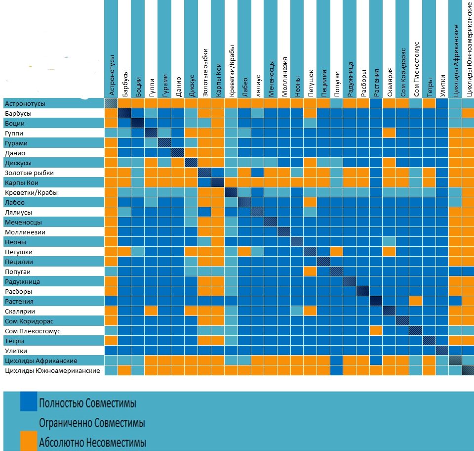 Compatibility table for some fish species for the aquarium