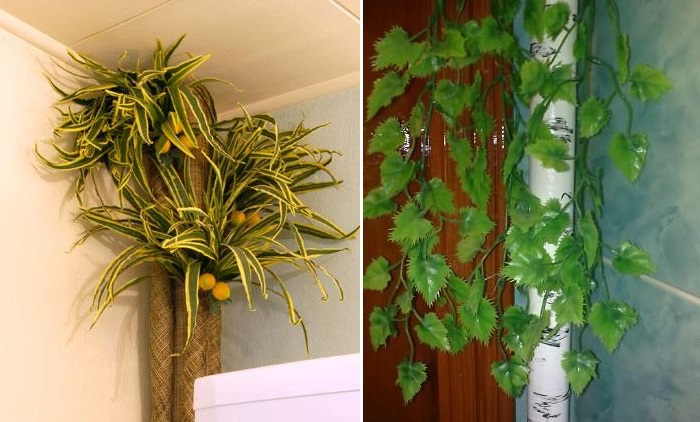 Decoration by plants of the heating riser in the apartment