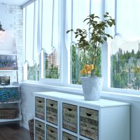 Lemon tree on a glazed balcony