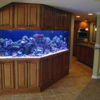 Kitchen cabinets with integrated aquarium