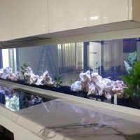 Aquarium in place of a kitchen apron