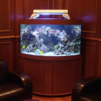 Corner aquarium on a wooden nightstand