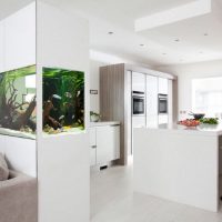 Partition with integrated aquarium