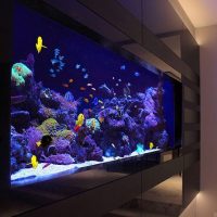 Water world of a home aquarium