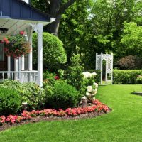 The green surface of the English lawn