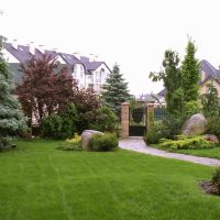 Landscaping in front of the house