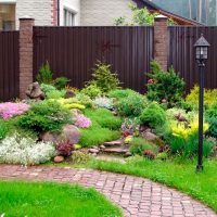 Long stand garden light