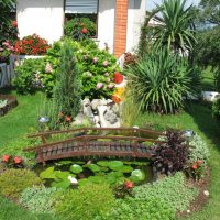 Wooden bridge over a garden pond