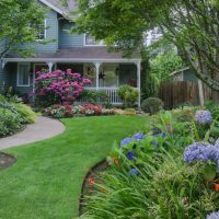 Landscaping of a garden patio