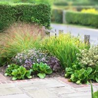 Small flower bed with deciduous broadleaf