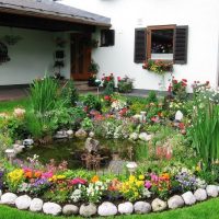 Beautiful pond in the courtyard