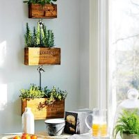 Homemade drawers for indoor plants