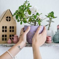 Wooden shelf for decorative elements