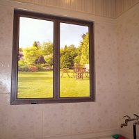 Bathroom with False Window