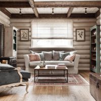 Cozy living room in the log house