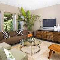 Plants in the interior of the living room of a private house