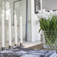 White tulips in a glass vase