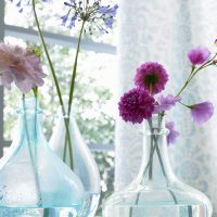 Glass vases in the shape of bottles