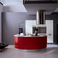 Red facade of kitchen furniture