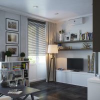 Open shelves in the living room of a city apartment