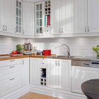 Kitchen unit with white facades