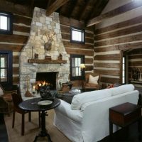 Wood and stone in the living room interior