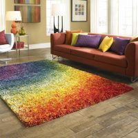 All the colors of the rainbow on one carpet