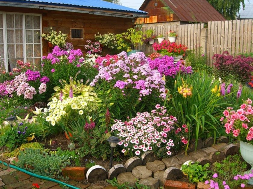 Beautiful flower garden in the front garden of the cottage