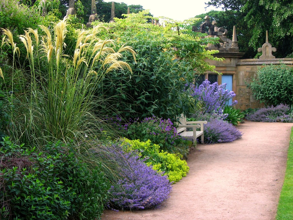 Decorating the landscape in front of the house with a mixborder