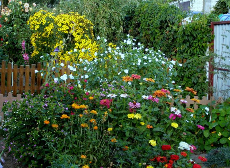 Autumn flower garden at the cottage