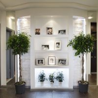 Indoor plants in the hallway interior