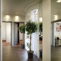 Design of a spacious entrance hall in a brick house