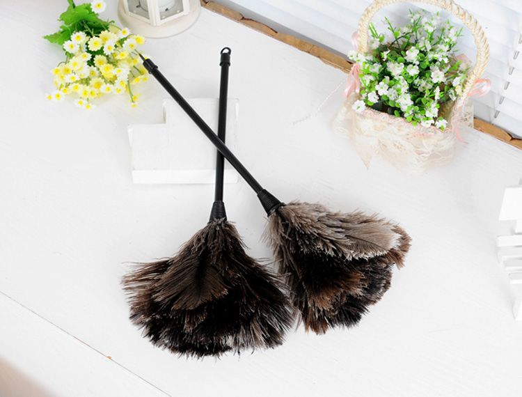 Hand brushes for cleaning dust from flowers