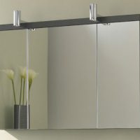 Wall cabinet with mirror