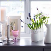 Fresh flowers on the windowsill of the apartment