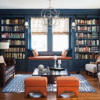 Bookshelves near the living room window