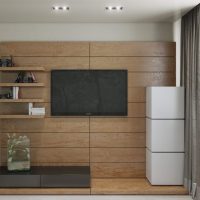 Black TV on wood panels