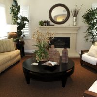 Brown carpet on the living room floor with fireplace