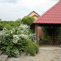 Gazebo in the roof of a metal tile in the back of the garden