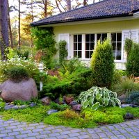 Beautiful composition with shrub plants in front of a country house