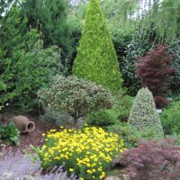 Clay jug among bushes