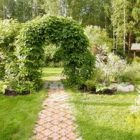 Arch with creepers over a garden path