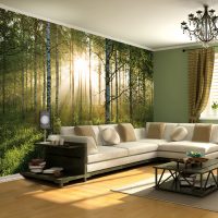 Realistic photo wallpaper in the living room